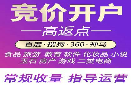 网络推广竞价策略案例分析